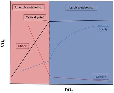 Monitoring of Tissue Oxygenation: an Everyday Clinical Challenge